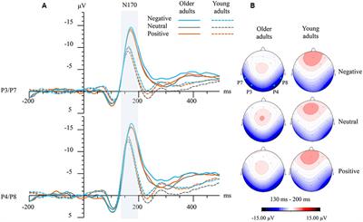 Neural Temporal Dynamics of Facial Emotion Processing: Age Effects and Relationship to Cognitive Function